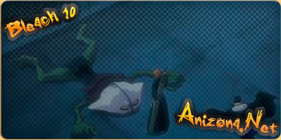 Bleach / Блич - 10 серия